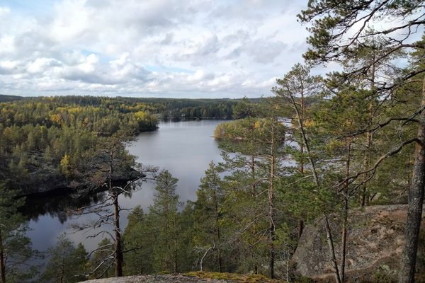kalliomaisema_pinei